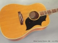 Gibson Country Western 1965 top