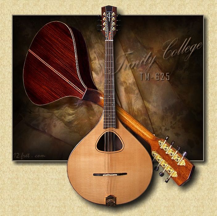 https://www.12fret.com/wp-content/gallery/trinity_college_tm-625_octave_mandolin/Trinity_College_TM-625_Octave_Mandolin.jpg