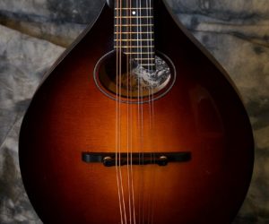 SOLD!!! Collings MTO GT