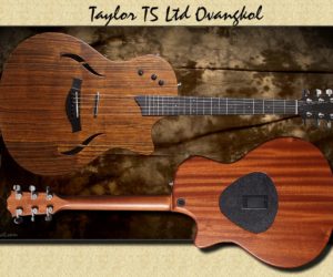 (Discontinued) Taylor T5-X Ovangkol Top