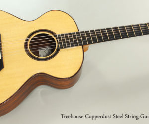 NO LONGER AVAILABLE!!! 2016 Treehouse Copperdust Steel String Guitar